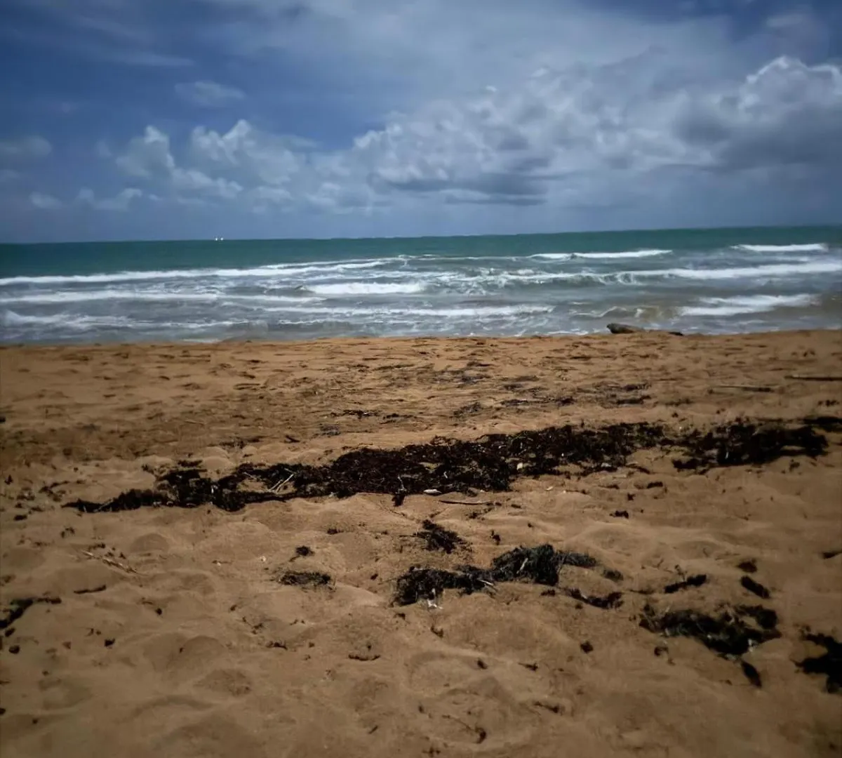 Appartement Caribbean Zen At Bosque Del Mar - Las Picuas - Río Grande Porto Rico